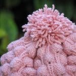 Midye Kabuğu İşlemeli Ponponlu Rasta Bere – Image 4